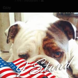 Meet your Posher, Matt